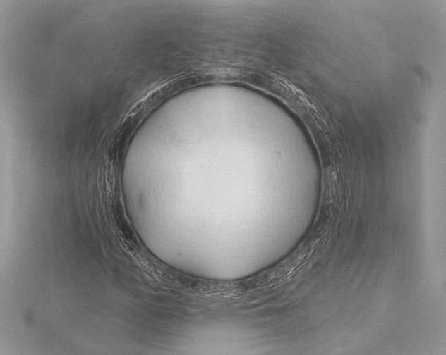 X0000115771158200912041426