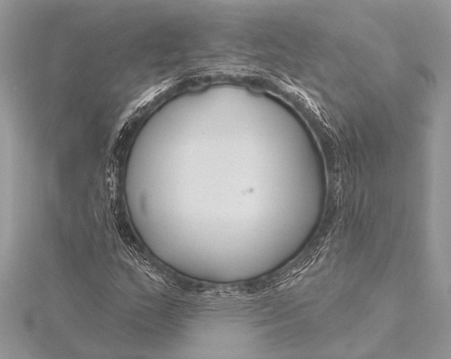 X0000115771159200912041426