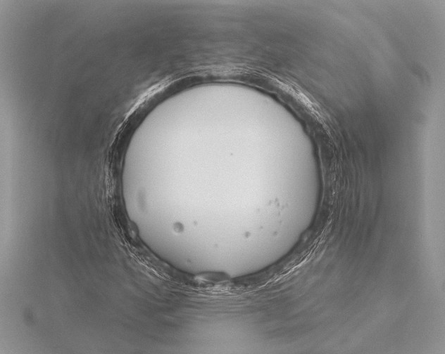 X0000115771160200912041426