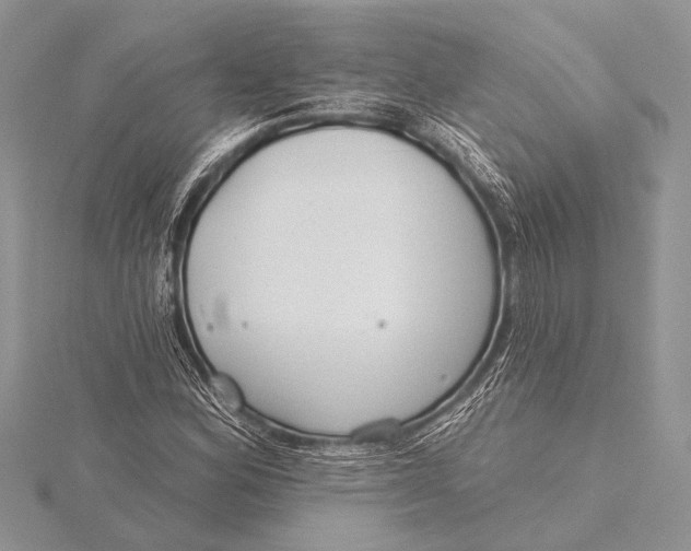 X0000115771164200912041425