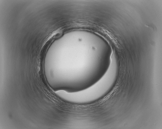 X0000115771165200912041425