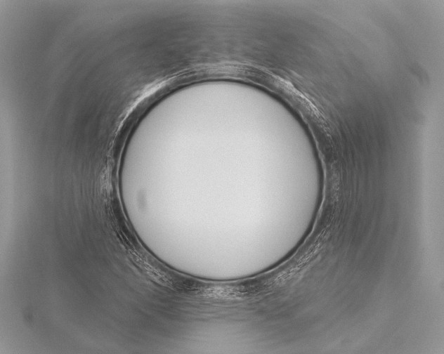 X0000115771166200912041425