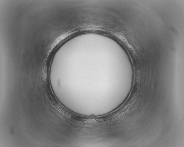 X0000115771167200912041425