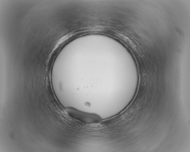 X0000115771168200912041425