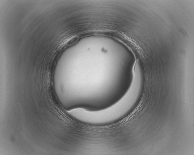 X0000115771169200912041425