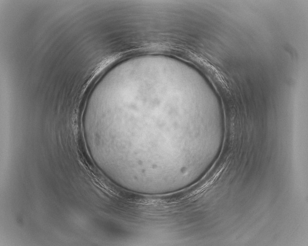 X0000115771170200912041425