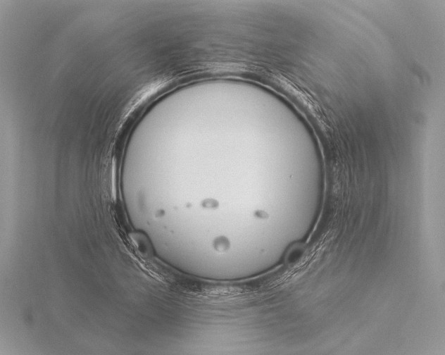 X0000115771171200912041425