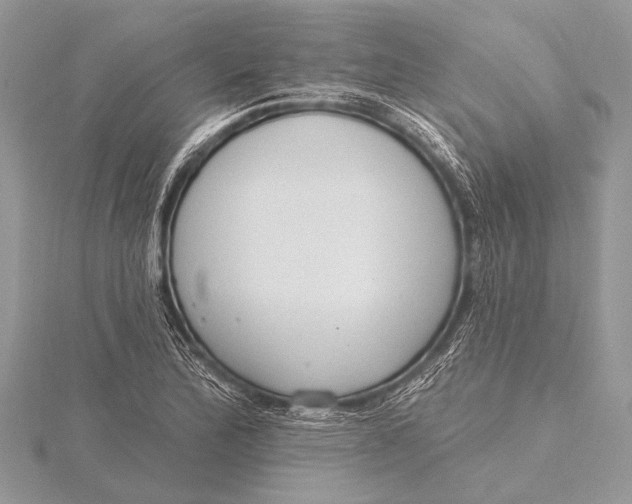 X0000115771172200912041425