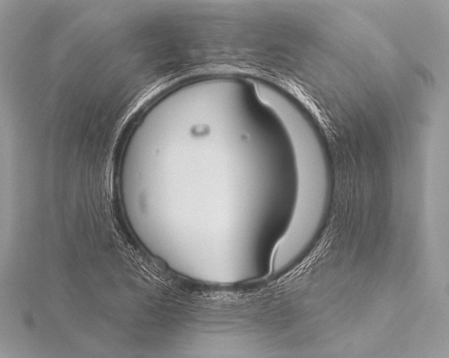 X0000115771173200912041425