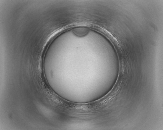 X0000115771174200912041425