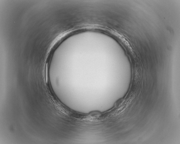 X0000115771175200912041425