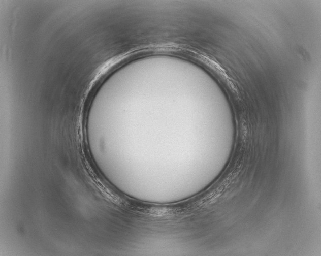 X0000115771176200912041425