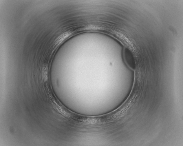 X0000115771177200912041425