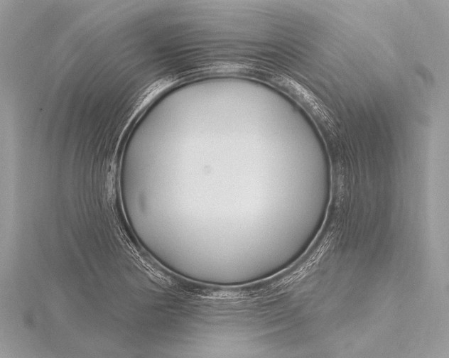 X0000115771178200912041425