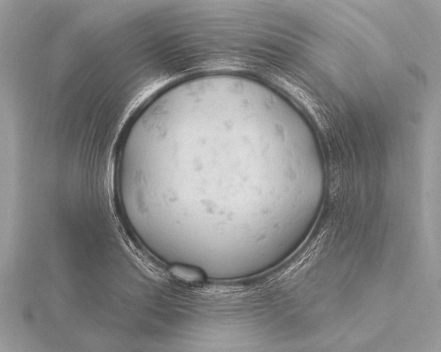 X0000115771179200912041425