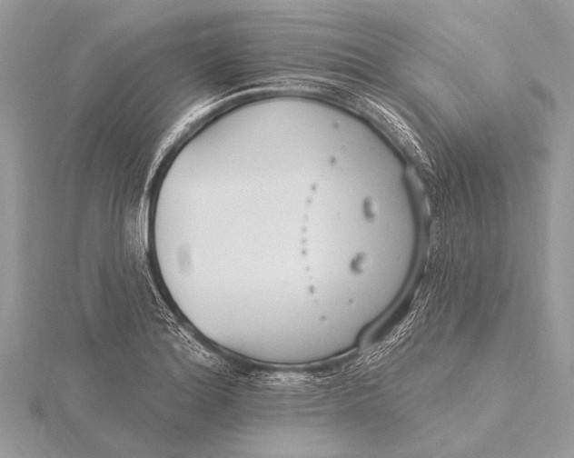 X0000115771180200912041425