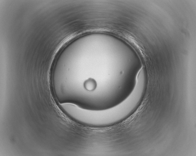 X0000115771181200912041425