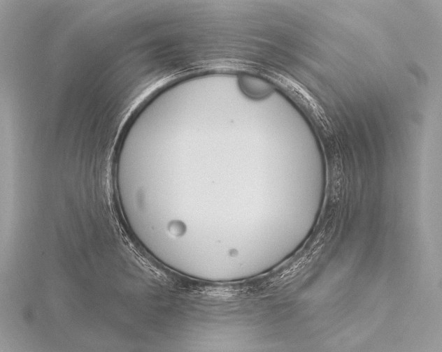 X0000115771182200912041425