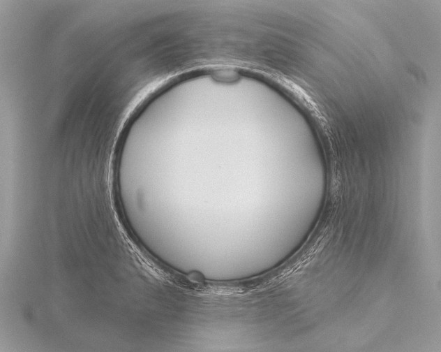 X0000115771183200912041425