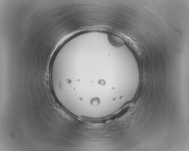 X0000115771184200912041425