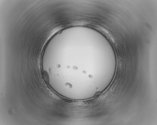 X0000115771186200912041425