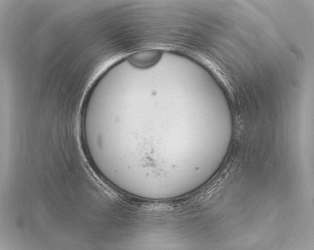 X0000115771187200912041425