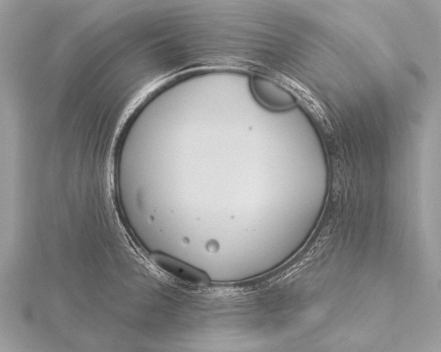 X0000115771188200912041425