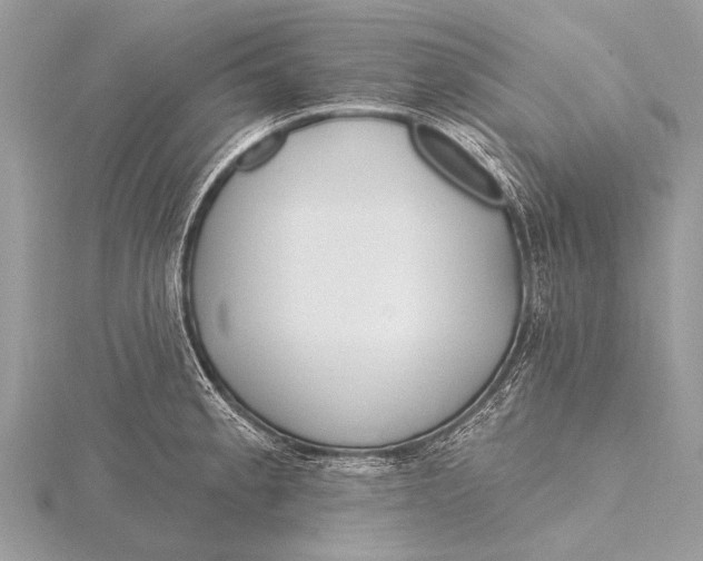 X0000115771189200912041425