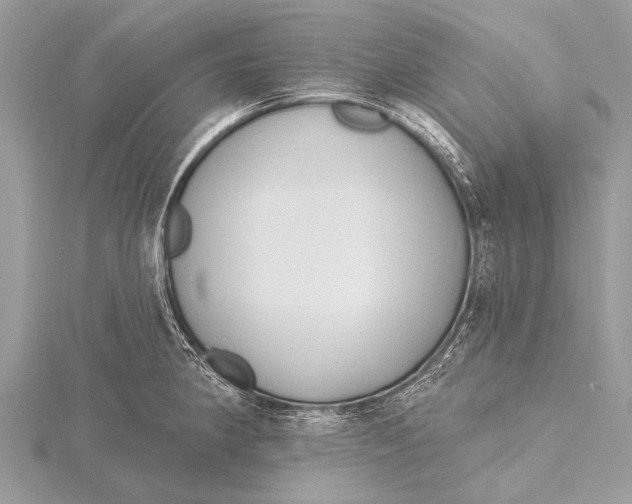 X0000115771190200912041425