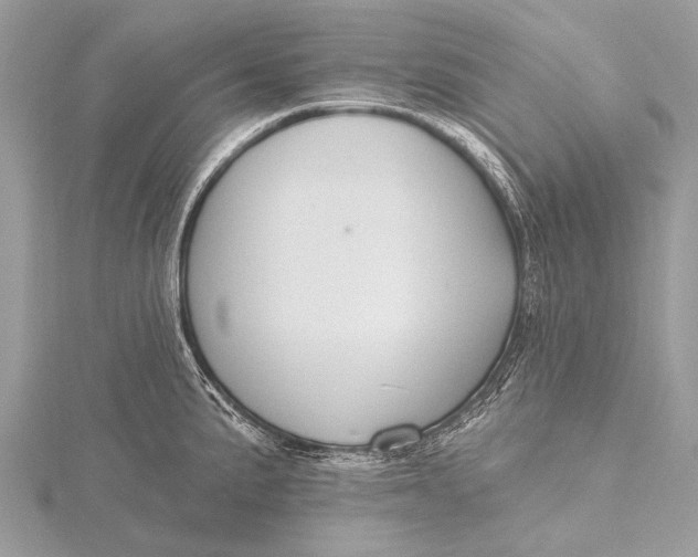 X0000115771191200912041425