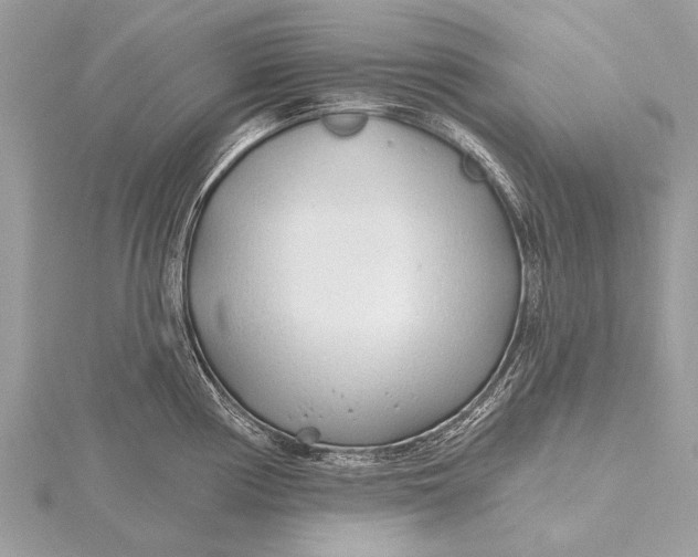 X0000115771194200912041425