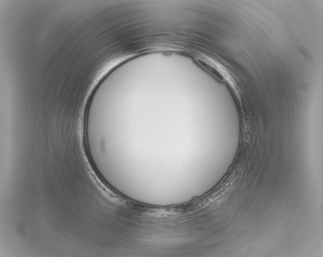 X0000115771195200912041425