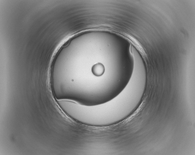 X0000115771196200912041425