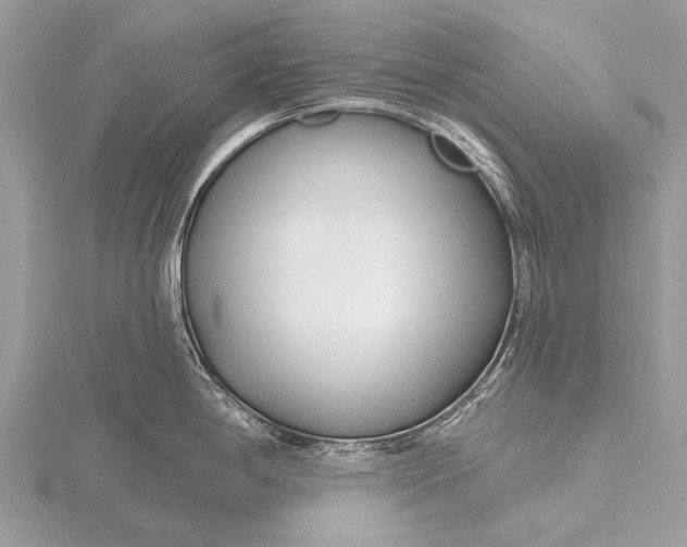 X0000115771198200912041425