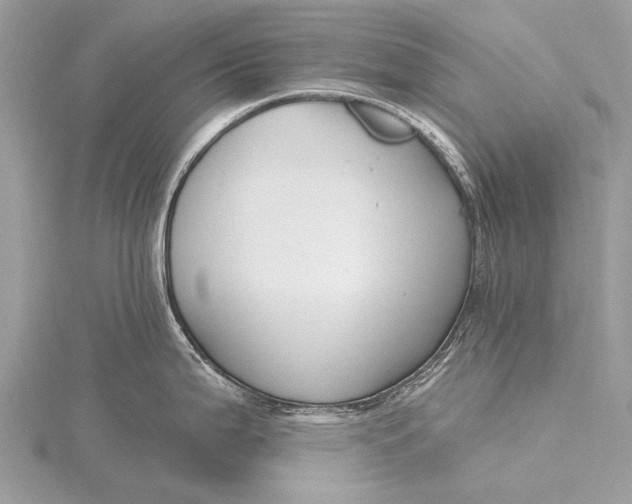 X0000115771199200912041425