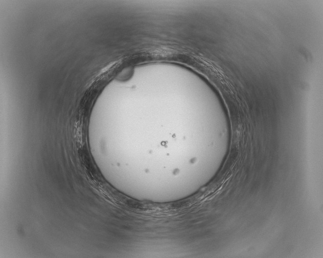 X0000115771205200912041424