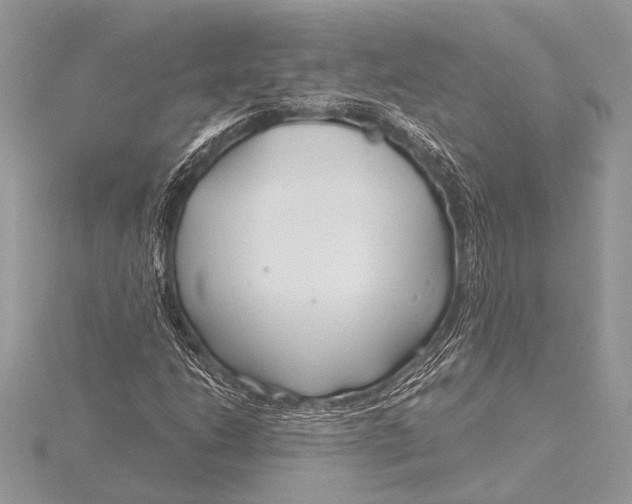 X0000115771206200912041424