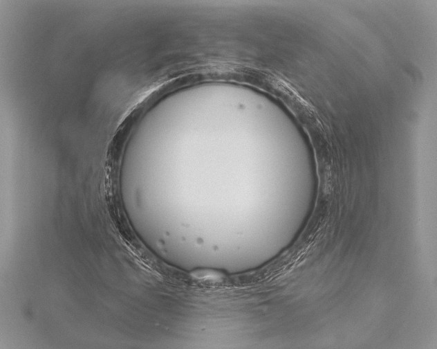 X0000115771208200912041424