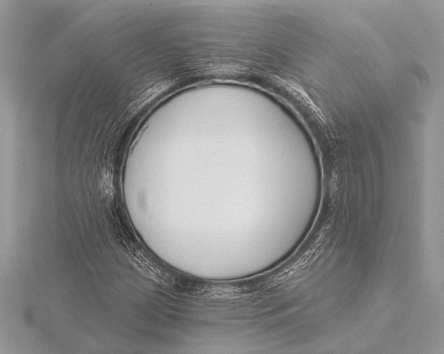 X0000115771209200912041424