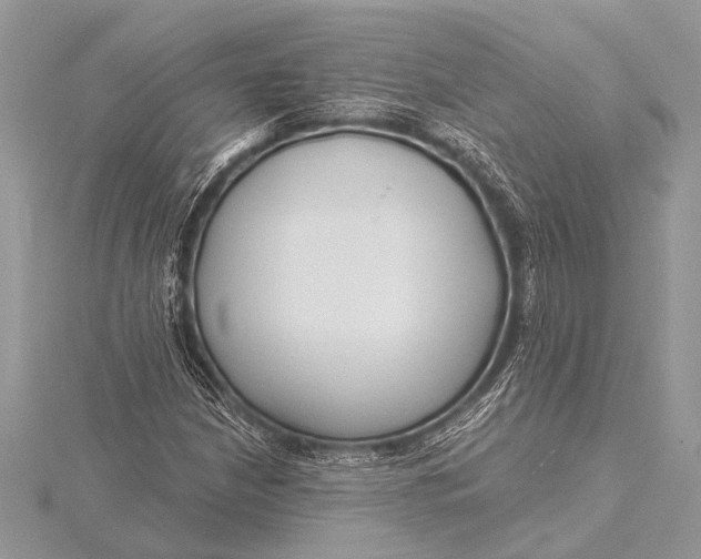 X0000115771210200912041424