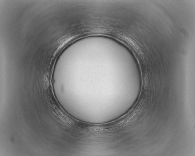 X0000115771212200912041424