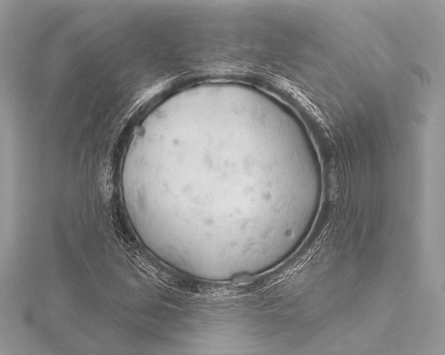 X0000115771213200912041424