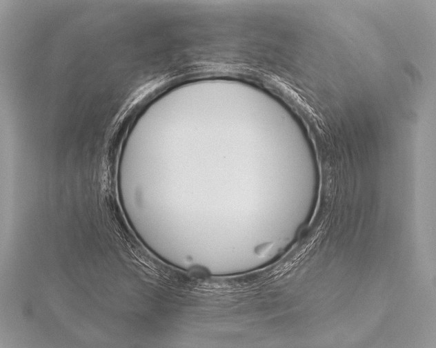 X0000115771215200912041424