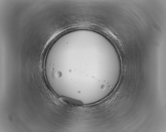 X0000115771216200912041424