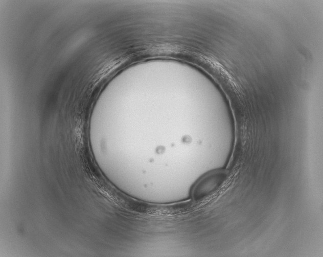 X0000115771217200912041424