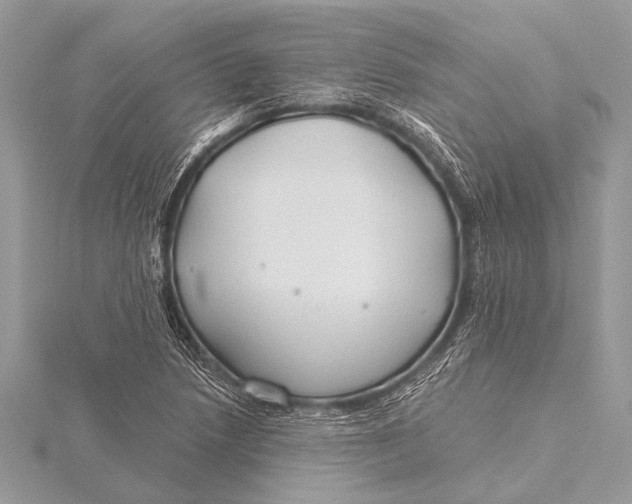 X0000115771218200912041424