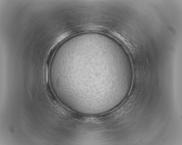 X0000115771219200912041424