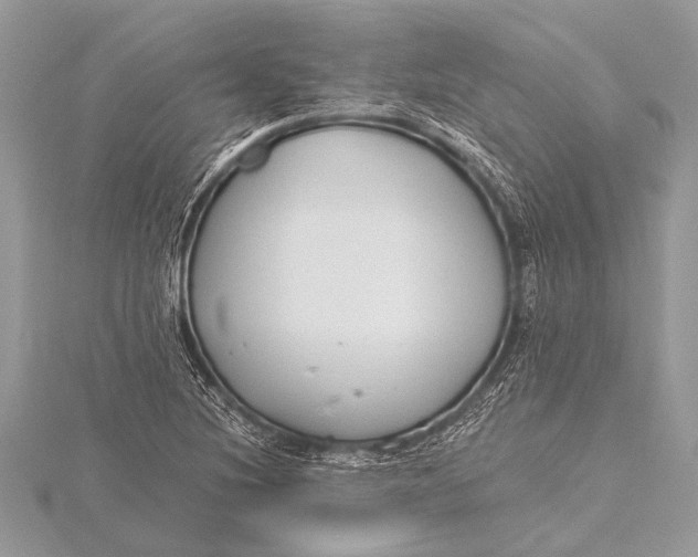 X0000115771220200912041424