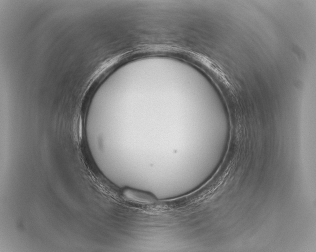 X0000115771221200912041424