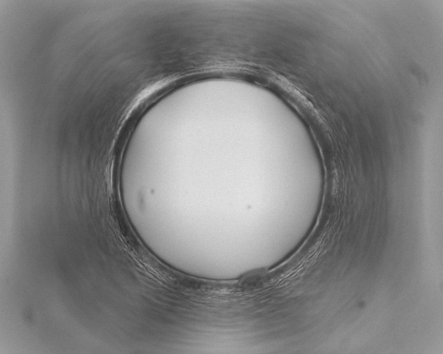 X0000115771222200912041425